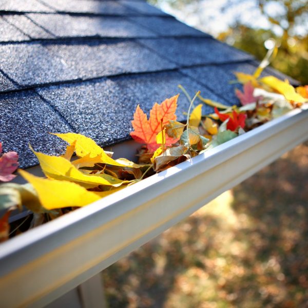 Gutter Cleaning Somerville Ma