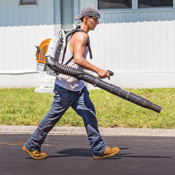 lawn care services somerville ma